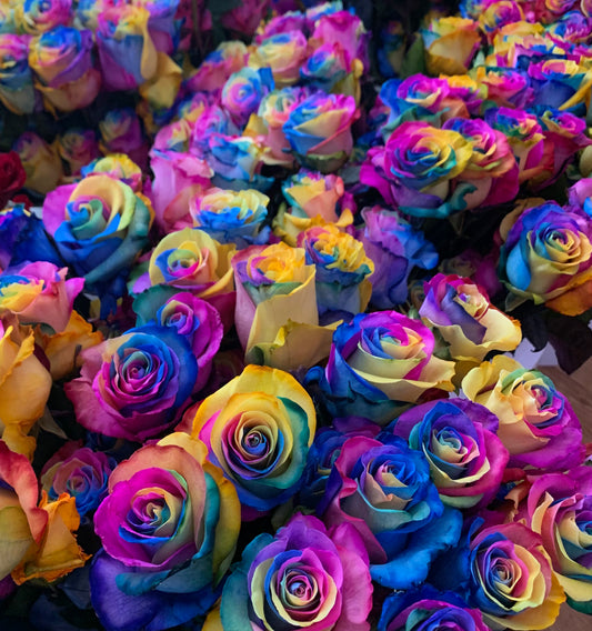 1 Count Rainbow Rose
