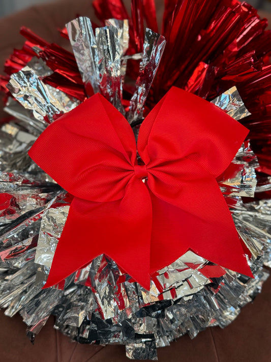 Cheer/ Hip Hop Poms and Bow